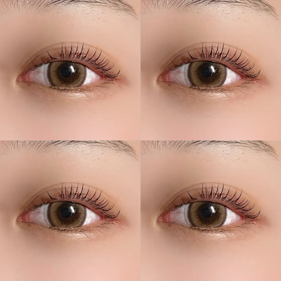 マツエク・マツパ 垢抜け眉WAX専門 ちゅるんまつげ|鎌倉の眉毛・アイブロウイメージ