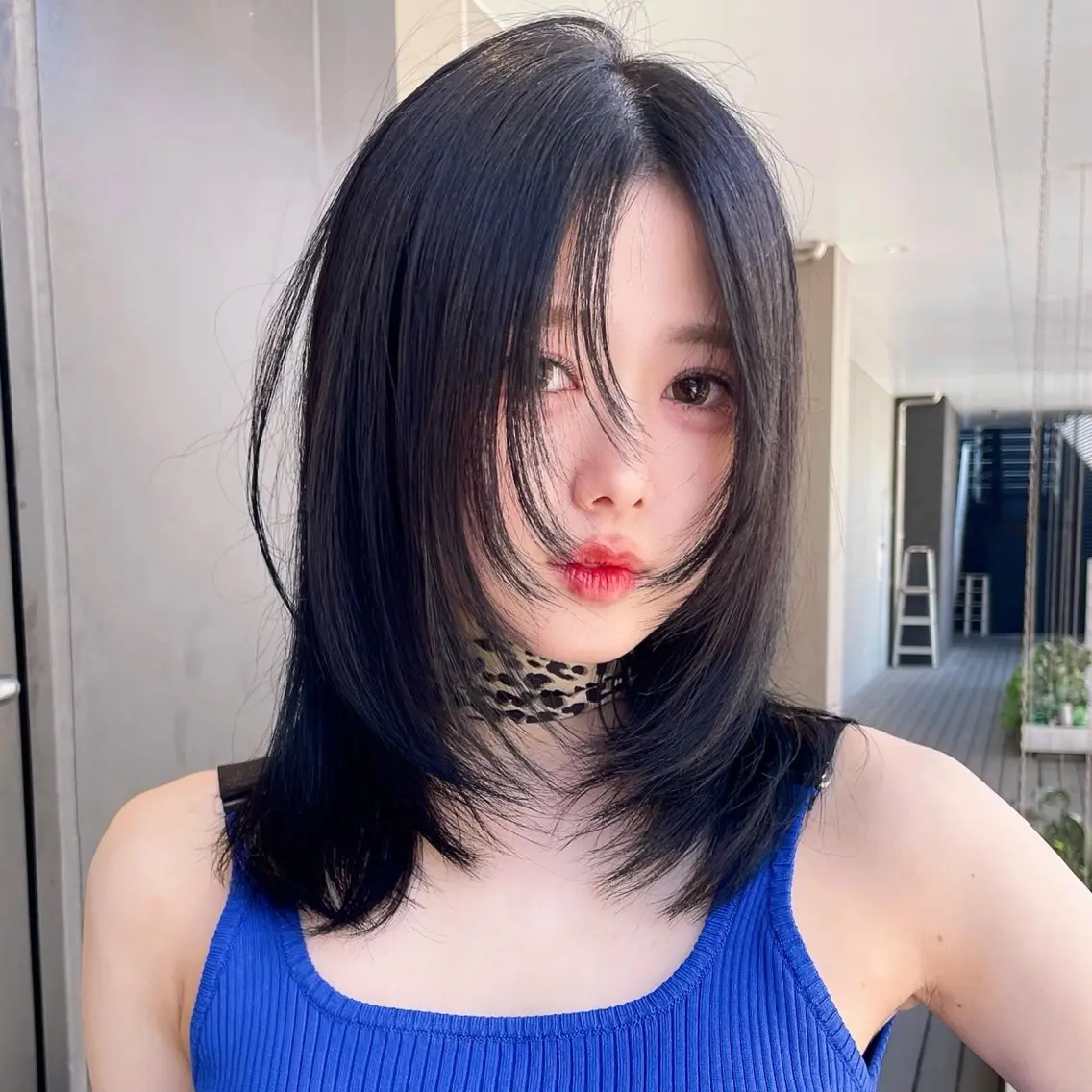 ミディアム カラー ヘアアレンジ 黒髪 ブリーチ ブルーカラー ブルーブラック 透明感カラー カット ヘアカラー トリートメント 💙韓国レイヤー 寒色カラー💙のヘアスタイル