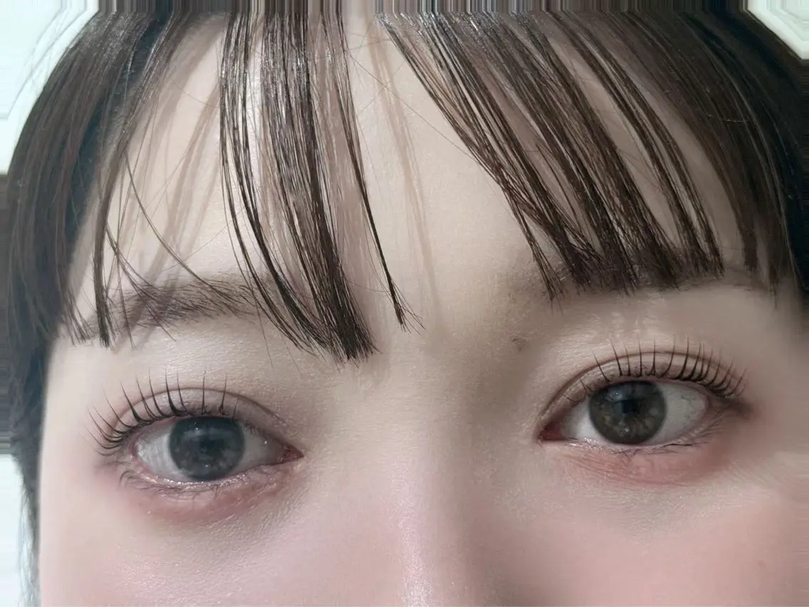 メーテルロッドの写真