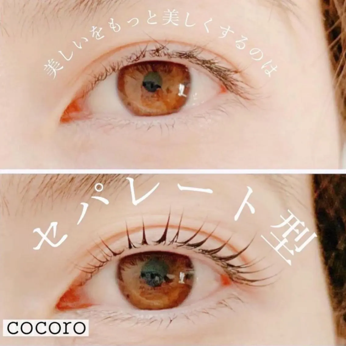 マツエク・マツパ まつ毛・眉/ 練習＆モニター専用のマツエク・マツパデザイン