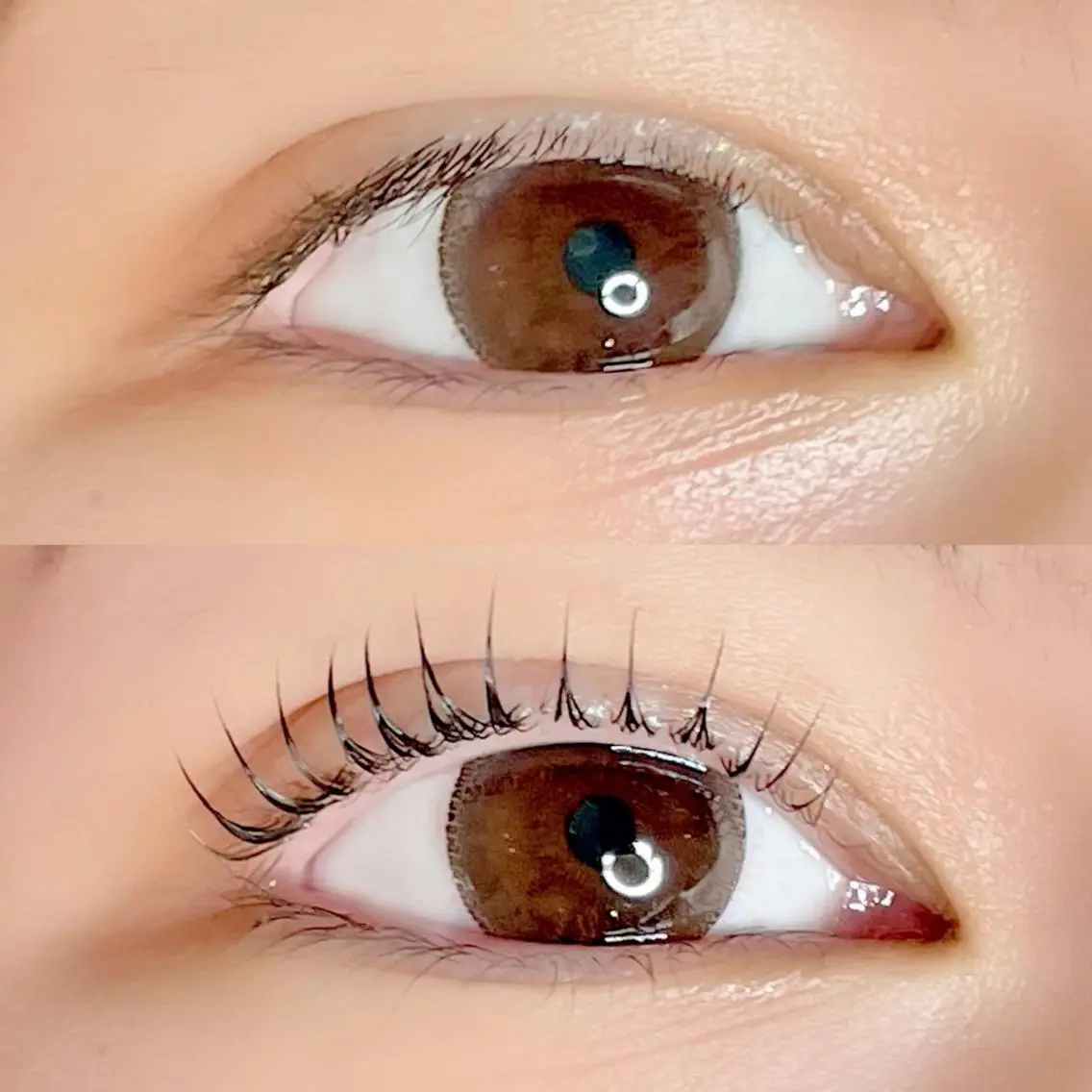 マツエク・マツパ AYLASH🧡 猪又のマツエク・マツパデザイン