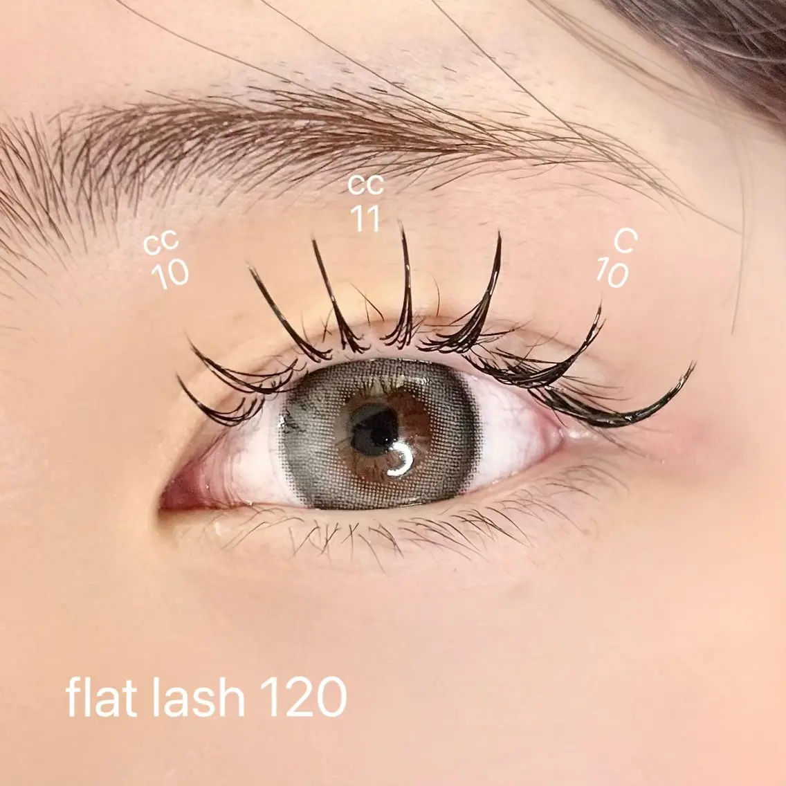 マツエク・マツパ フラットラッシュ マツエク elua eyelashの眉毛・アイブロウイメージ