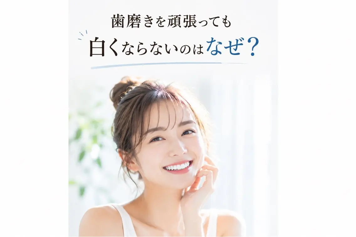 その他 サクッとホワイト 立川店のその他イメージ
