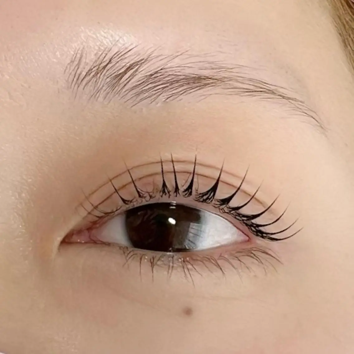 ラッシュリフト上(まつげパーマ)💎美容液コーティング付きの写真