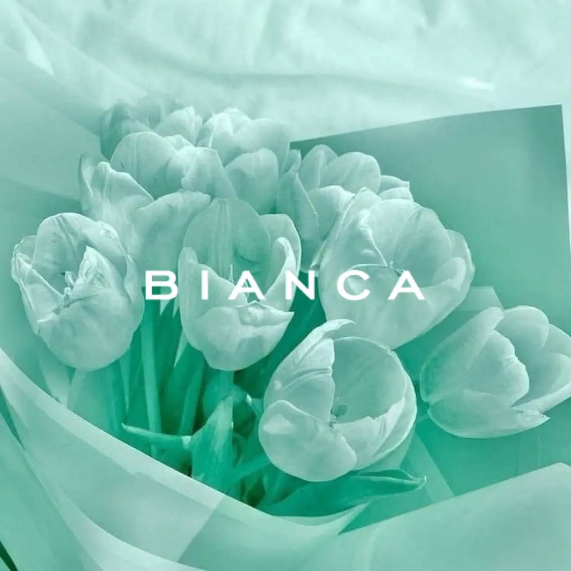 ネイル Bianca大宮 Nail＊森澤のネイルデザイン