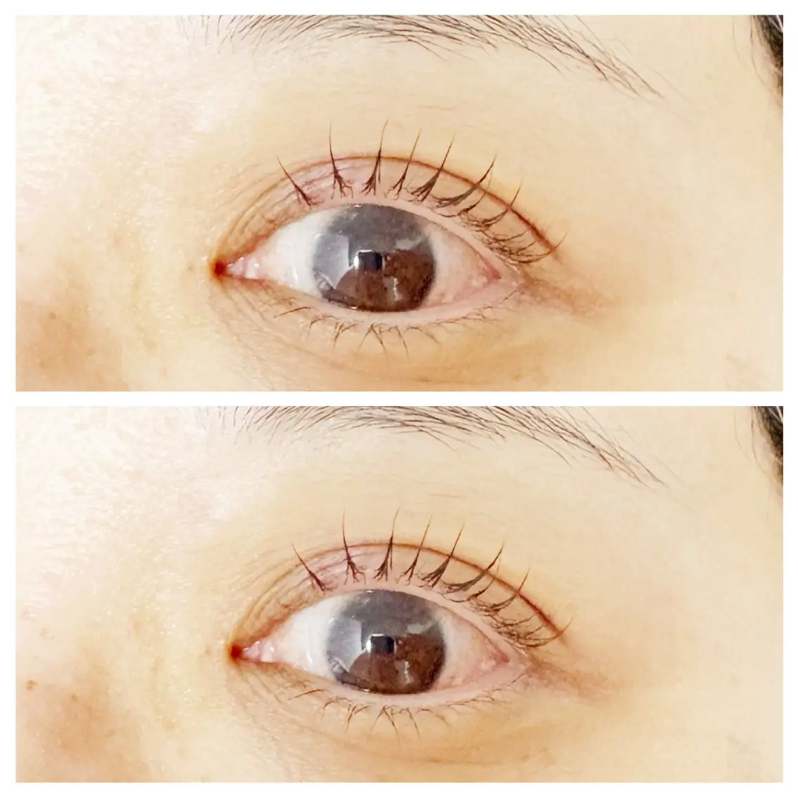 マツエク・マツパ plume eyelashのマツエク・マツパデザイン