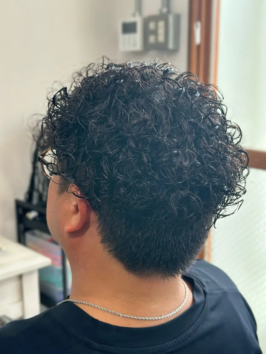 パーマ メンズ メンズパーマ プードルパーマ プードルパーマ パーマ Snalyメンズ特化 スエハラのヘアスタイル