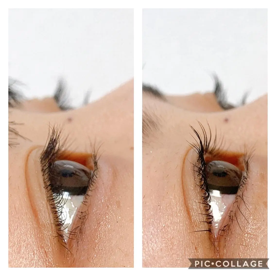 マツエク・マツパ Eyelash MAVIEのマツエク・マツパデザイン