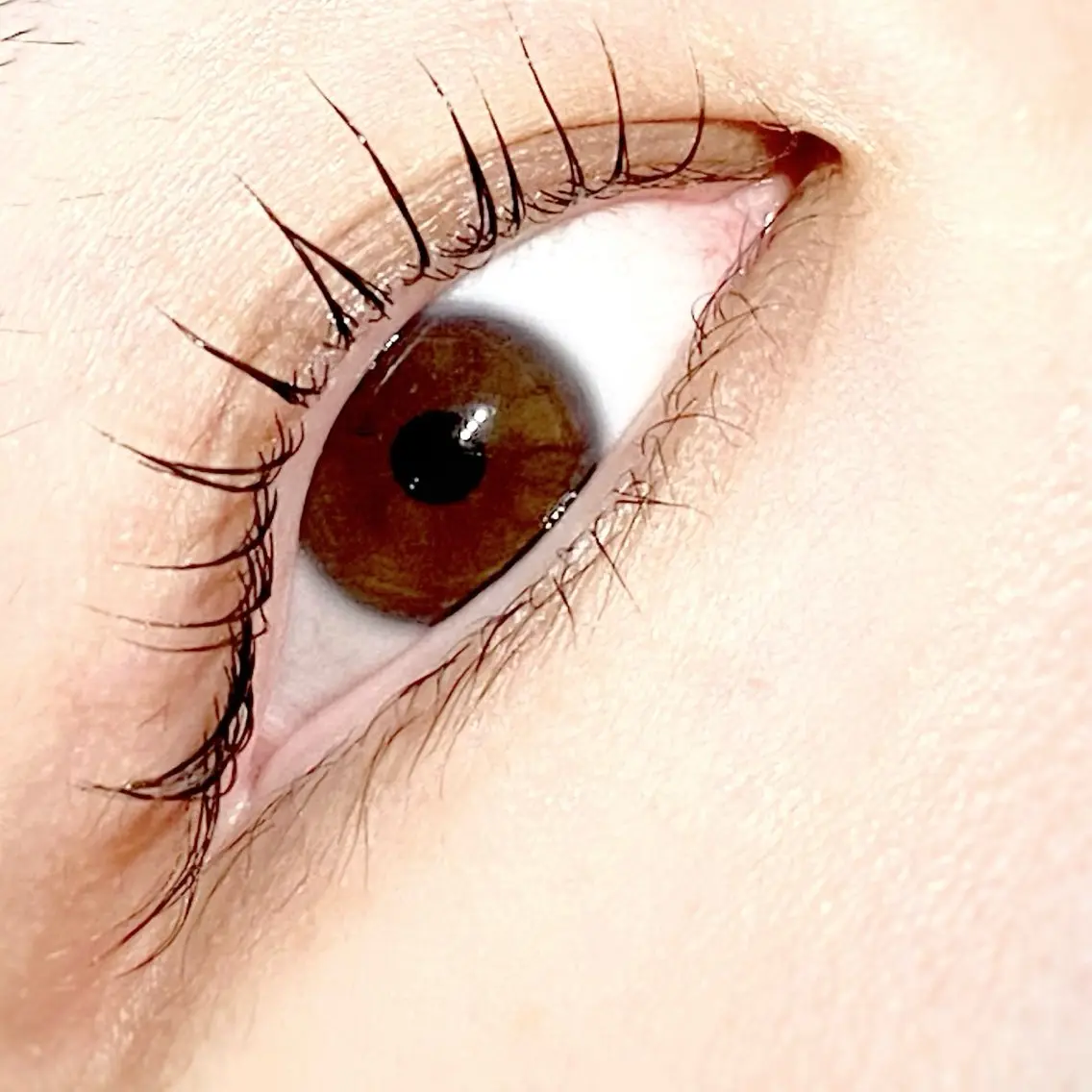 マツエク・マツパ マツパ mellow eyelashのマツエク・マツパデザイン