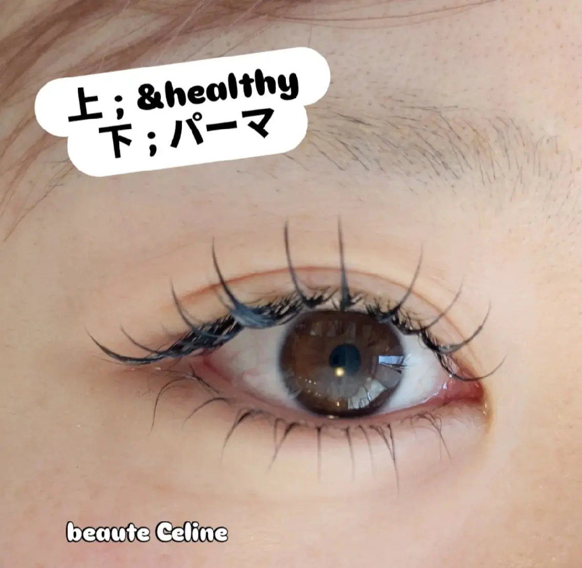 マツエク・マツパ マツエク LED✨beaute Celine🌛🌹のマツエク・マツパデザイン