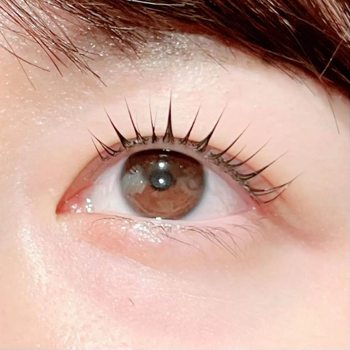 【6月限定】🌸まつ毛パーマ_4300円/パリジェンヌラッシュリフト_4500円🌸高濃度トリートメントケア付き♪の写真
