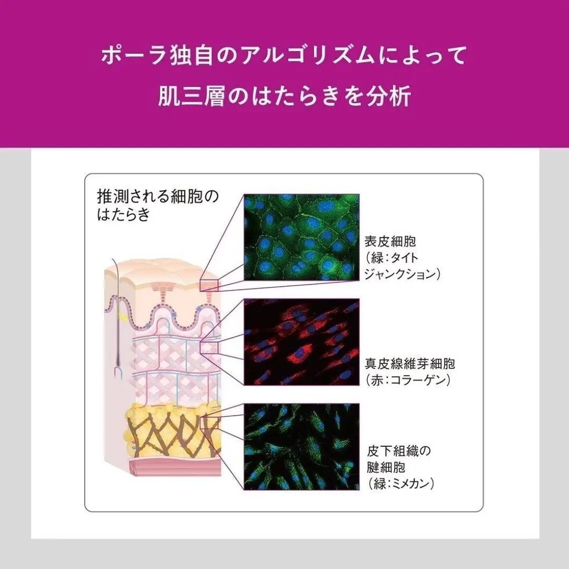 その他 POLA鵜沼 なおのエステ・リラクイメージ