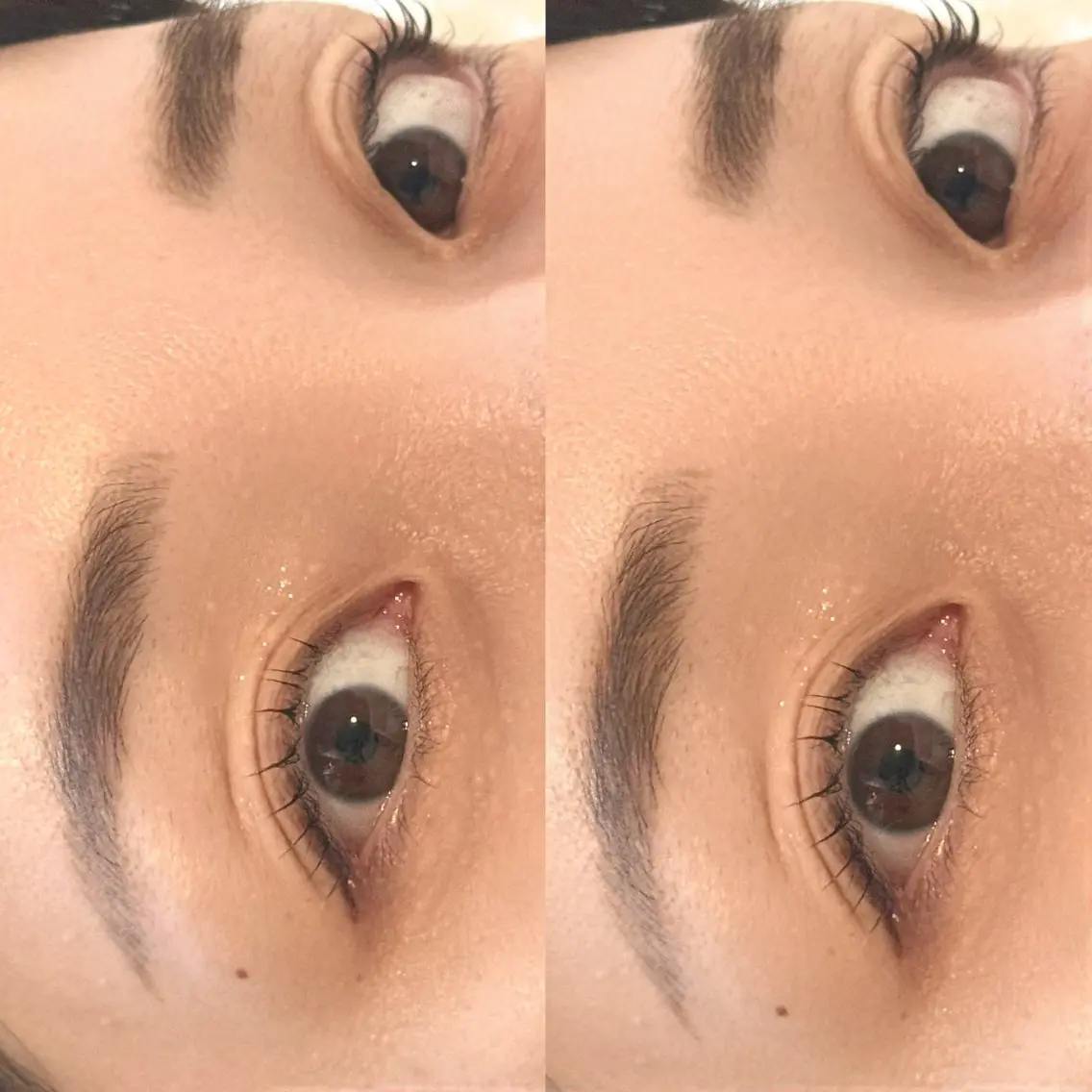 【一気に垢抜け】眉毛Wax+まつげパーマ上(サロン専売コーティング仕上げ)の写真