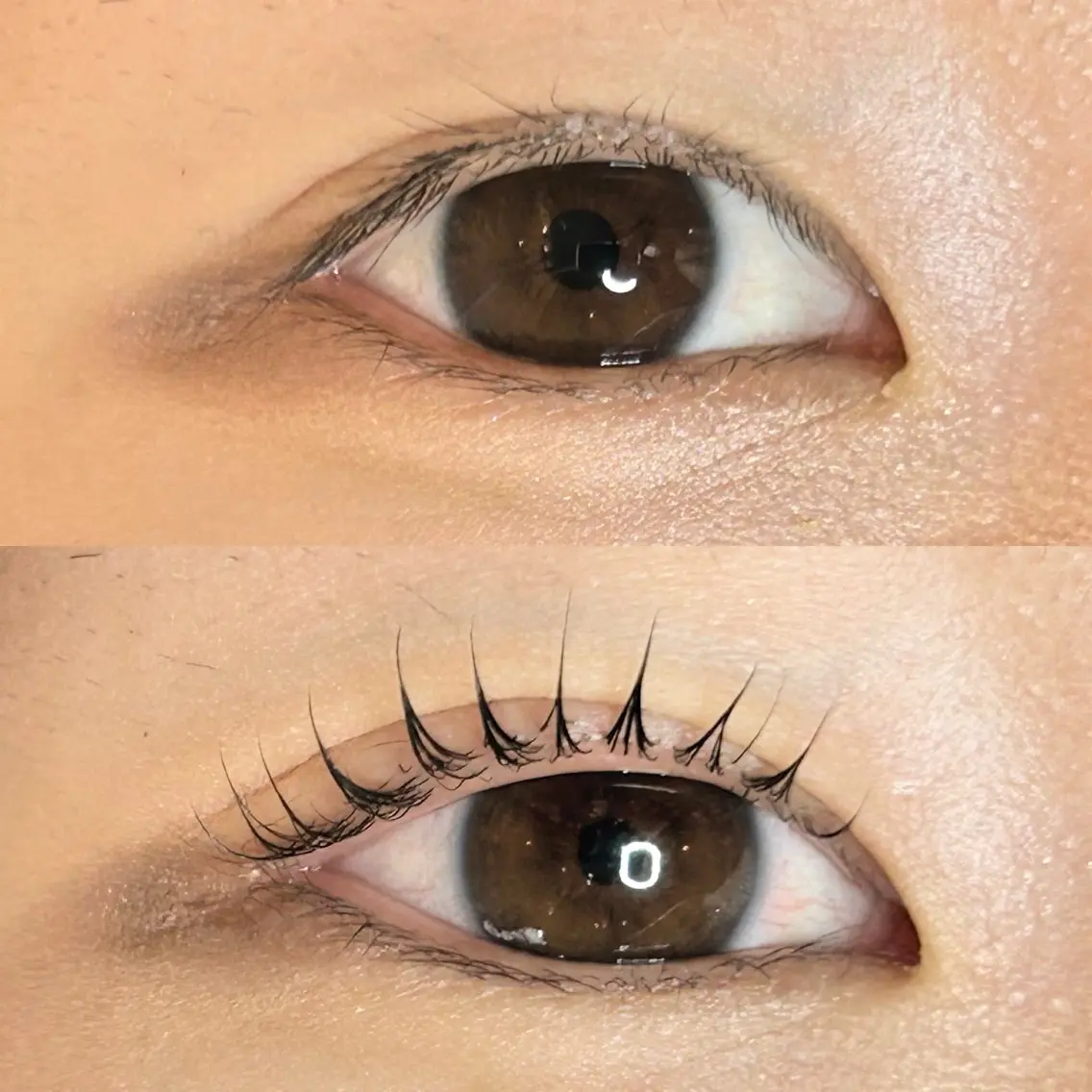 マツエク・マツパ Roy's lash ♡　AYAのマツエク・マツパデザイン