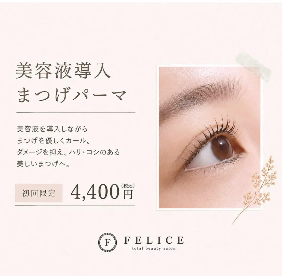 ⌇美容液導入まつ毛パーマ【認定店】パリジェンヌ,ラッシュリフト,デザインパーマ可能です。の写真