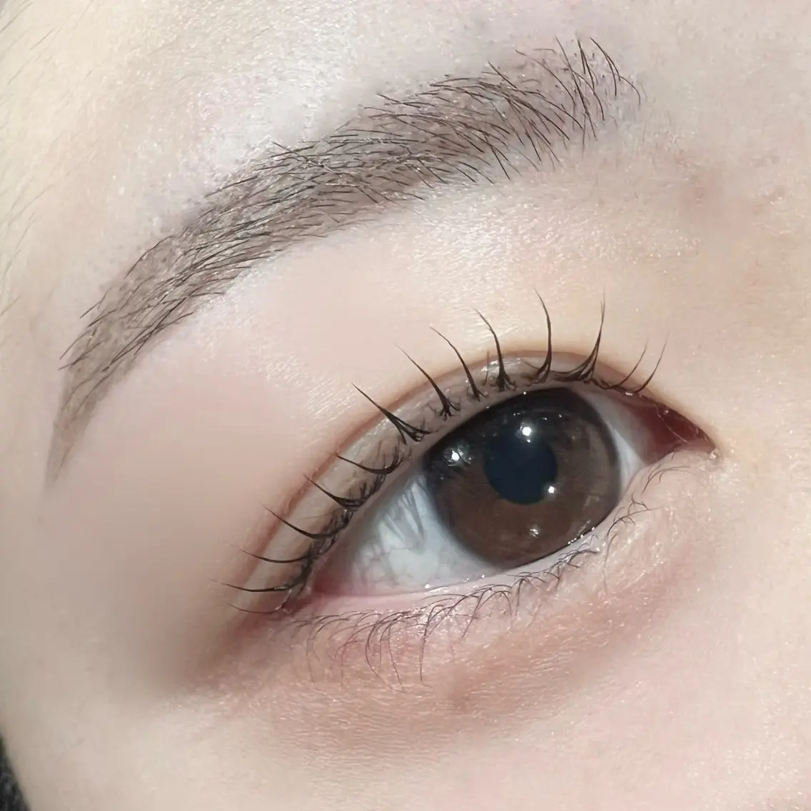 Lashlift (まつげパーマ)の写真