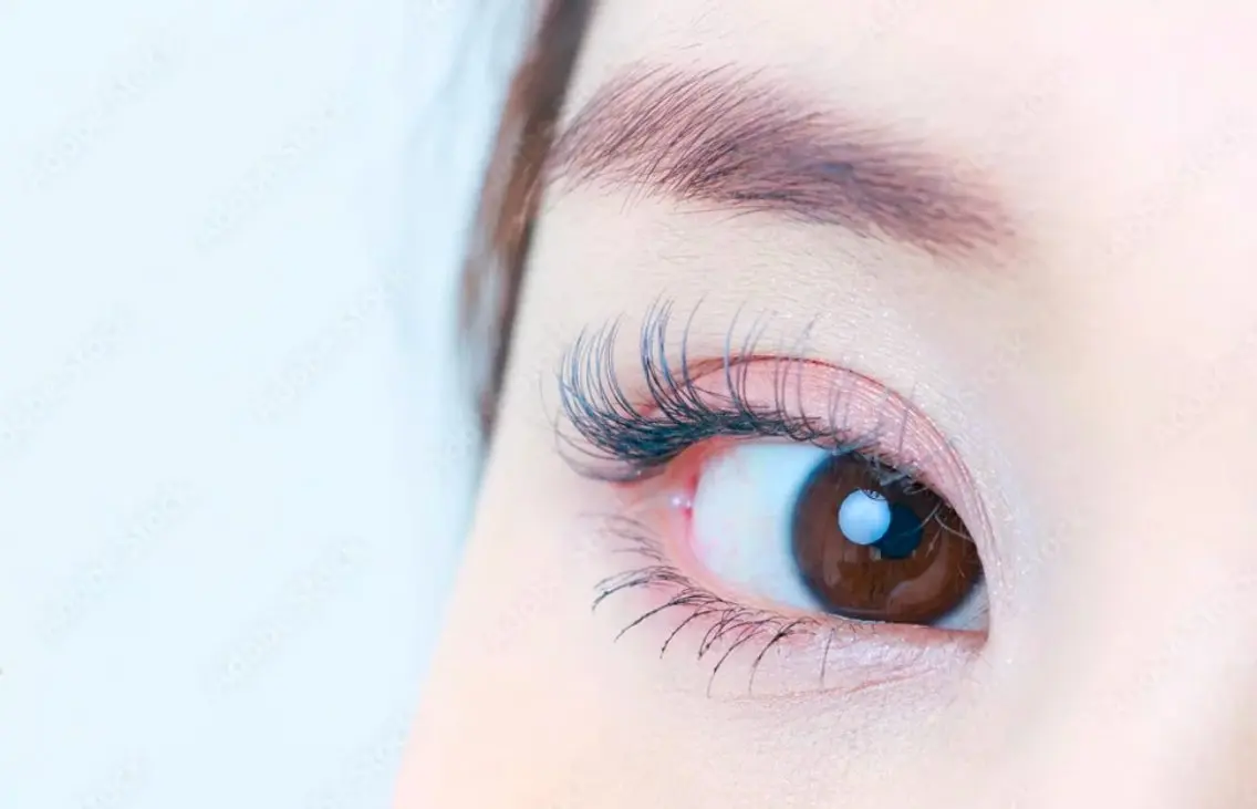【人数限定】セーブルラッシュ100本まで【オフなし】の写真