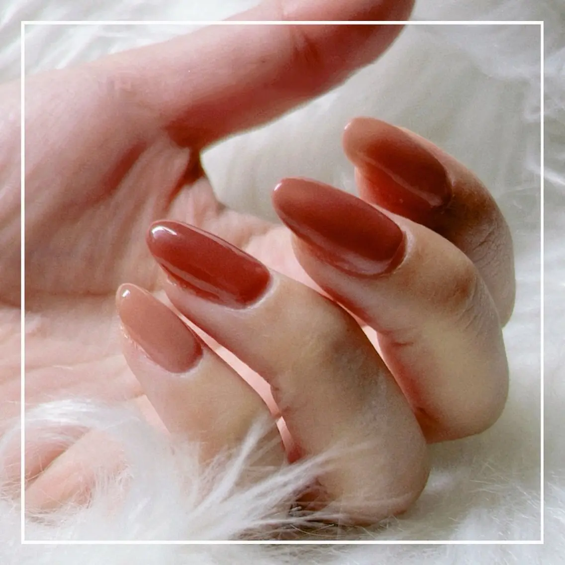 ワンカラー（オフなし）の写真