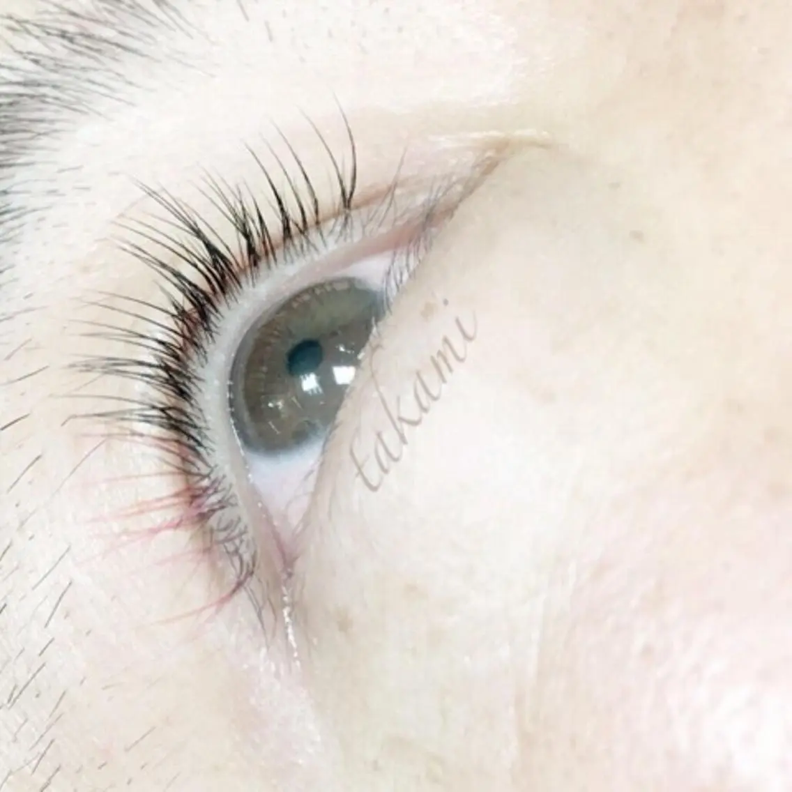 マツエク・マツパ tozone eye AYANOのマツエク・マツパデザイン