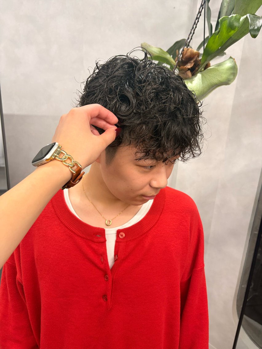 パーマ メンズ メンズパーマ スペインカール LIV My【マイ】 艶カラー/髪質改善のヘアスタイル