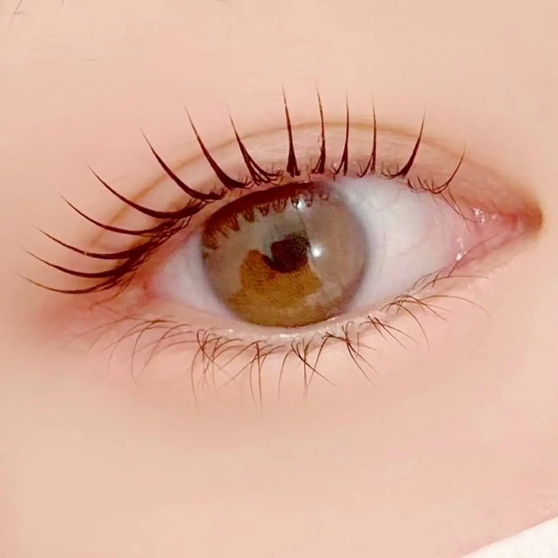 マツエク・マツパ マツパ Rich+ eyelashのマツエク・マツパデザイン
