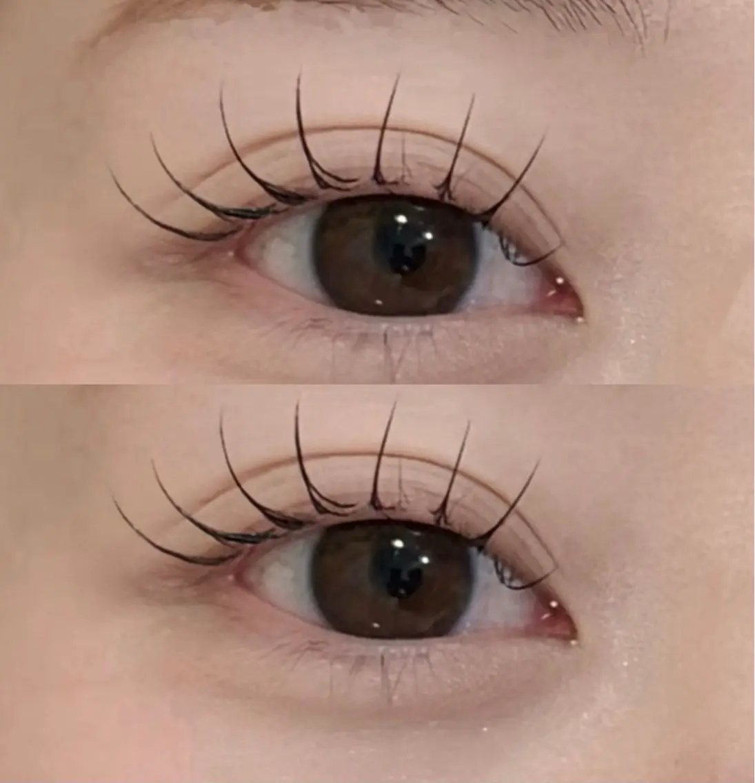 マツエク・マツパ Cカール マツエク 宮本麻央🎀🪽L ULUeyelashのマツエク・マツパデザイン