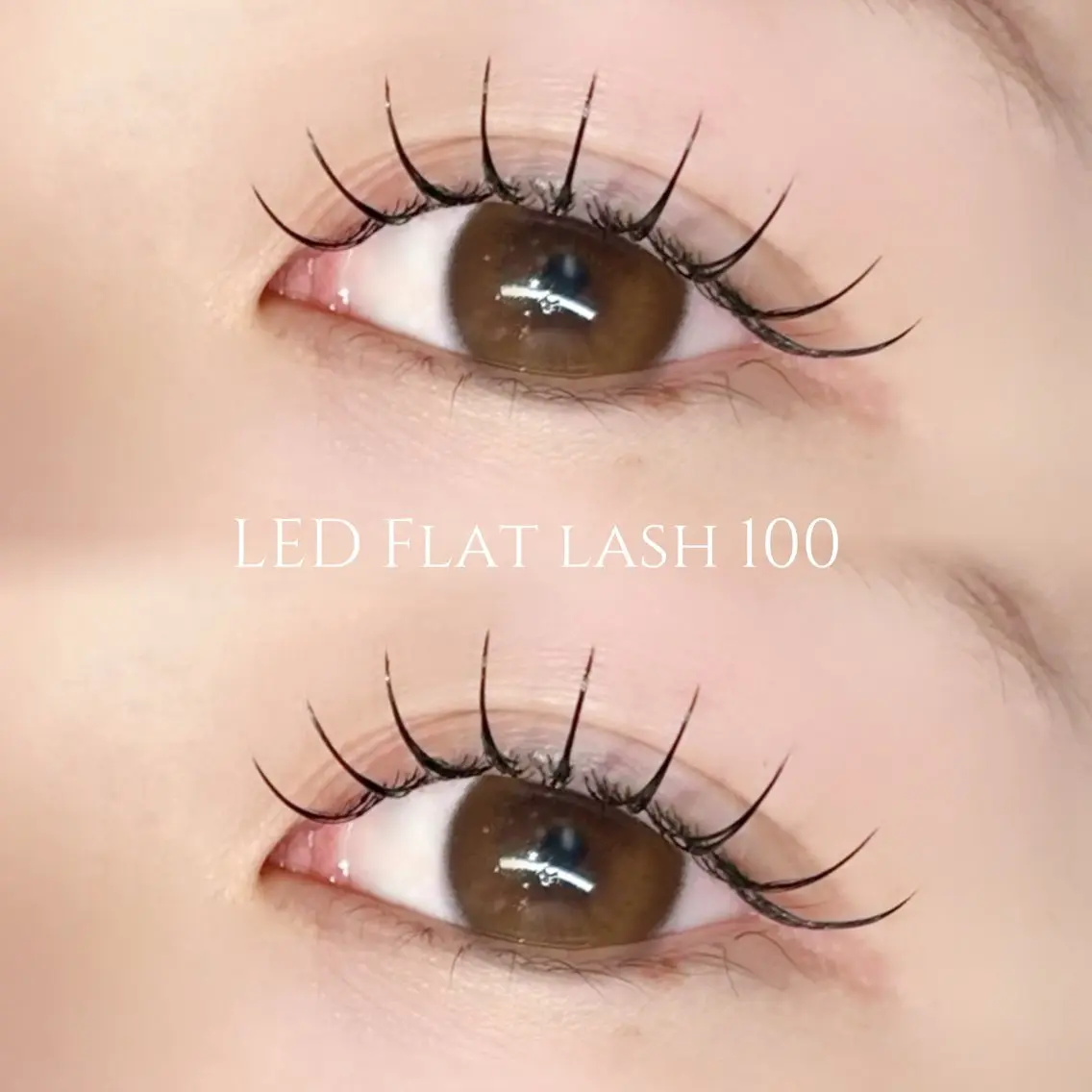 【モチ抜群◎】オフあり🙆🏻LEDフラットラッシュ100本💛ご新規様 ¥5500/再来様 ¥6830の写真