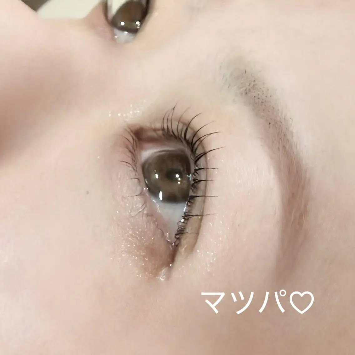 マツエク・マツパ 🌷LOARK eyelash.梶川のマツエク・マツパデザイン