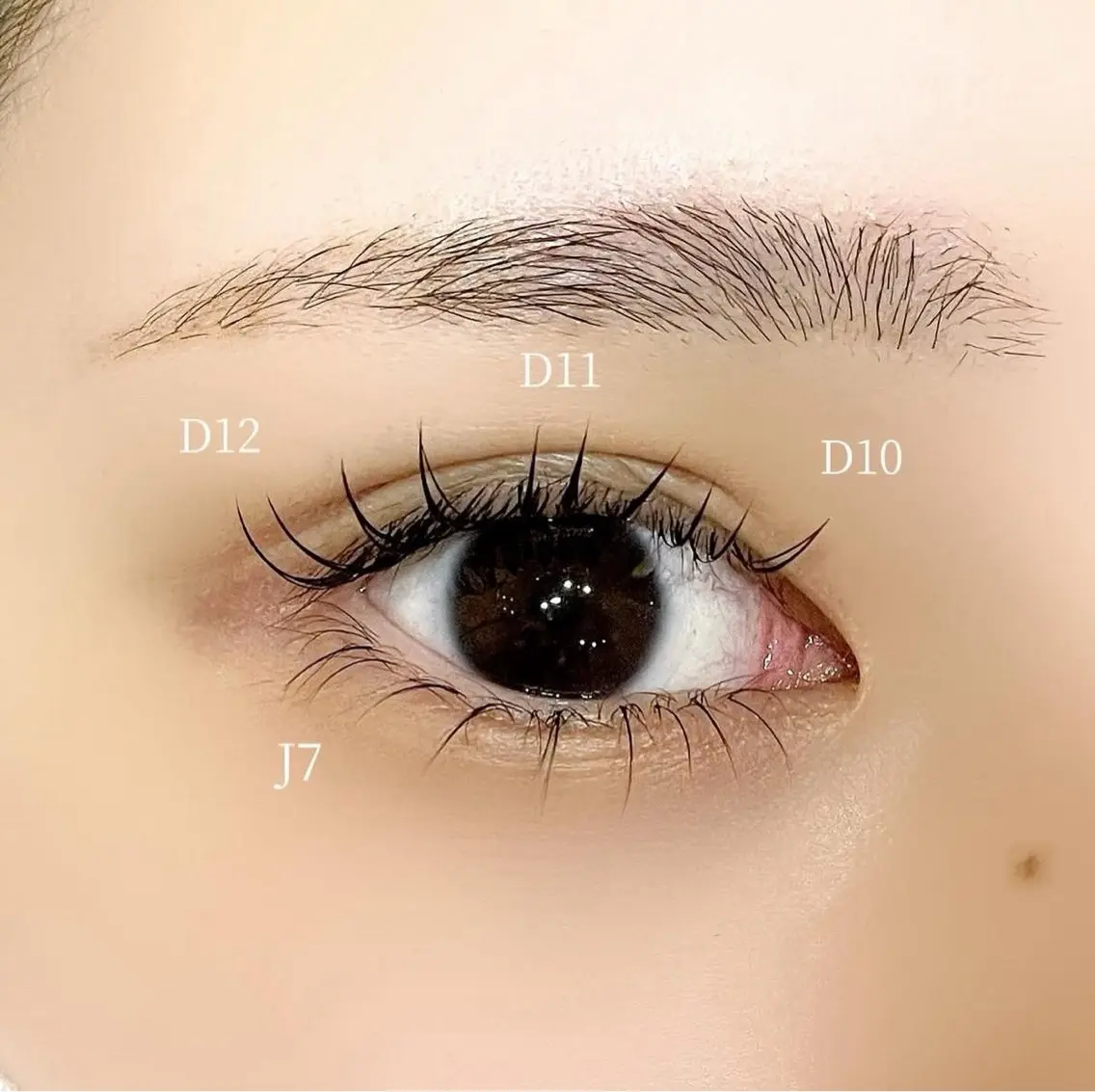 👀🤍下エクステ20本（オフなし）の写真