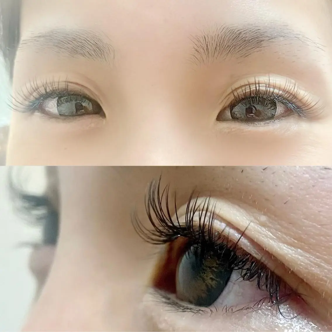 フラットラッシュ100本の写真