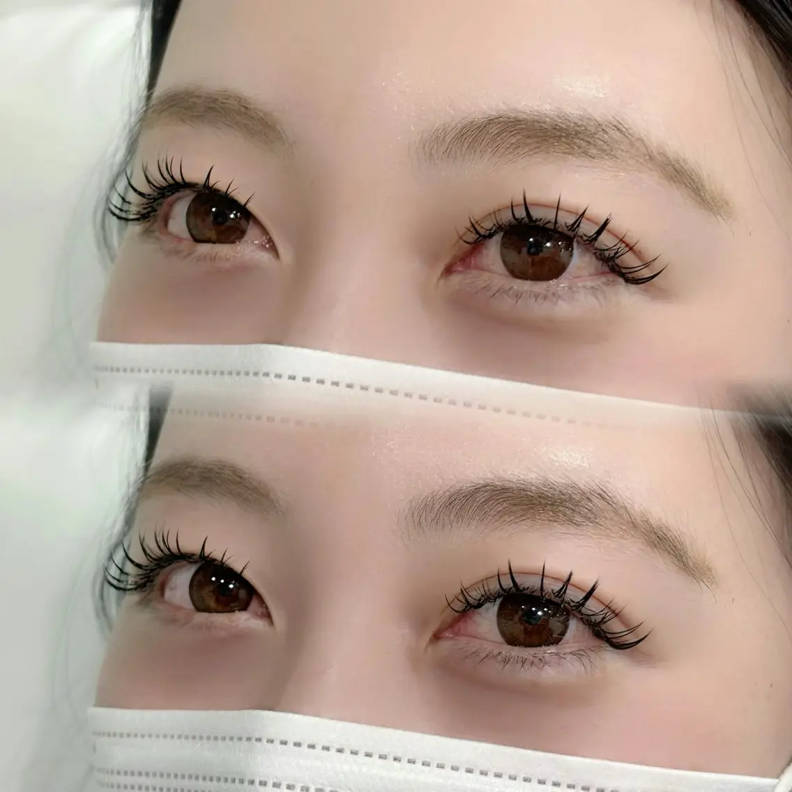 🦢ダブルフラットorバインドロック100束の写真