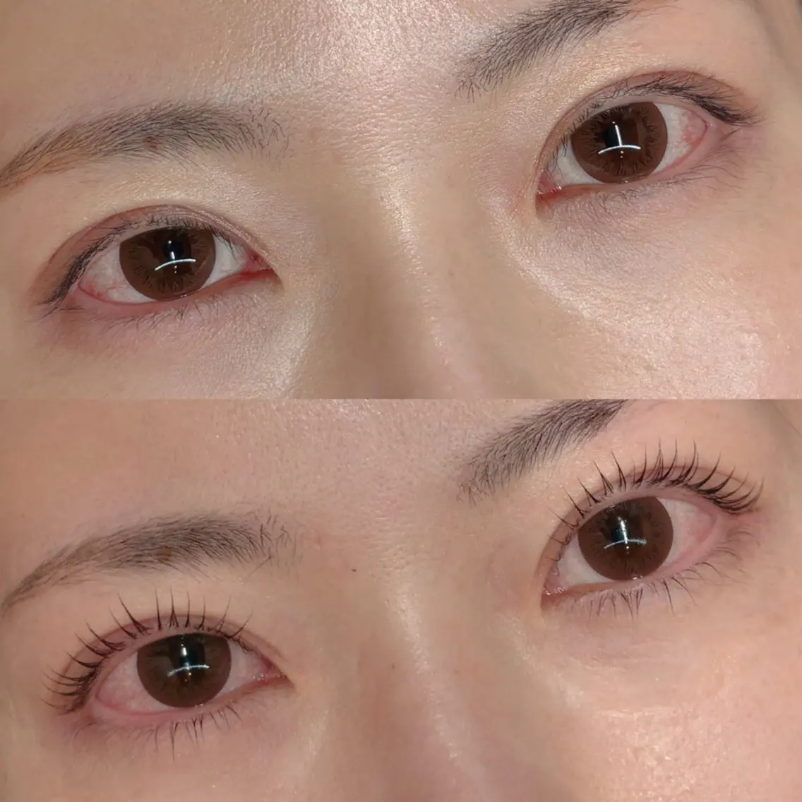 マツエク・マツパ カラーマツエク 一重×まつ毛パーマ マツパ 【愛され眉毛作る人】 nozomiのマツエク・マツパデザイン