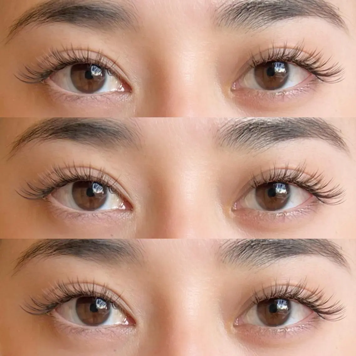 バインドロックorダブルフラット100本（50束）オフ込み🦋の写真