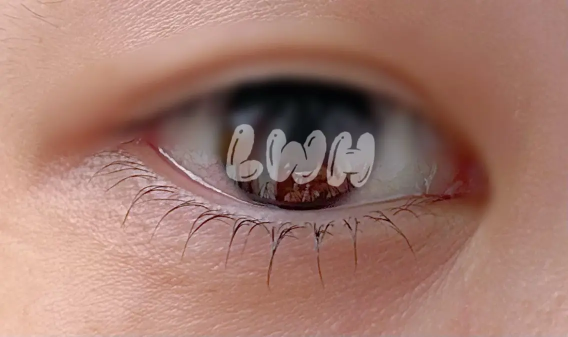 マツエク・マツパ マツパ LWH eyelashのマツエク・マツパデザイン