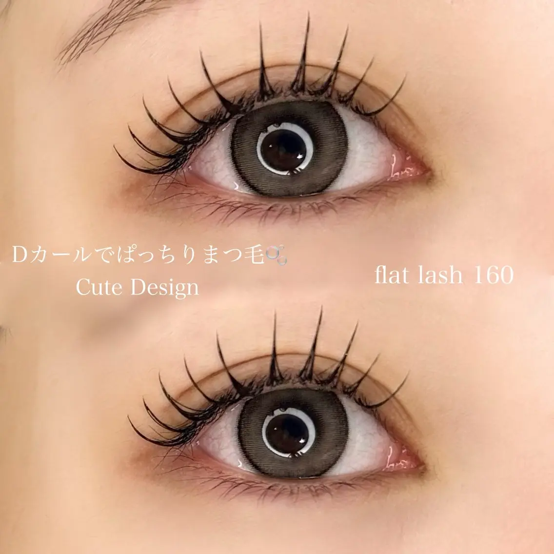 28.29日限定🫧フラットラッシュ100本の写真