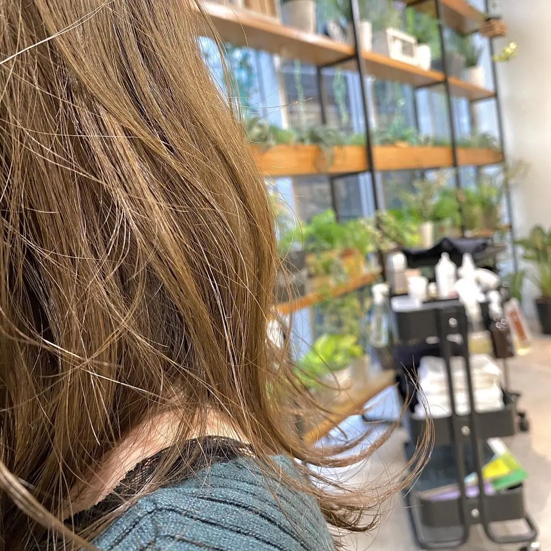 セミロング カラー ヘアアレンジ 【ダメージレス施術】 【透明感】北村 拓也のヘアスタイル