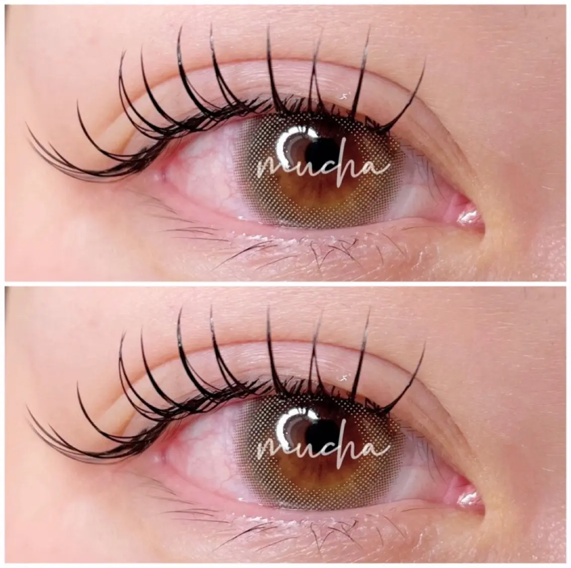 マツエク・マツパ マツエク eyelash muchaのマツエク・マツパデザイン