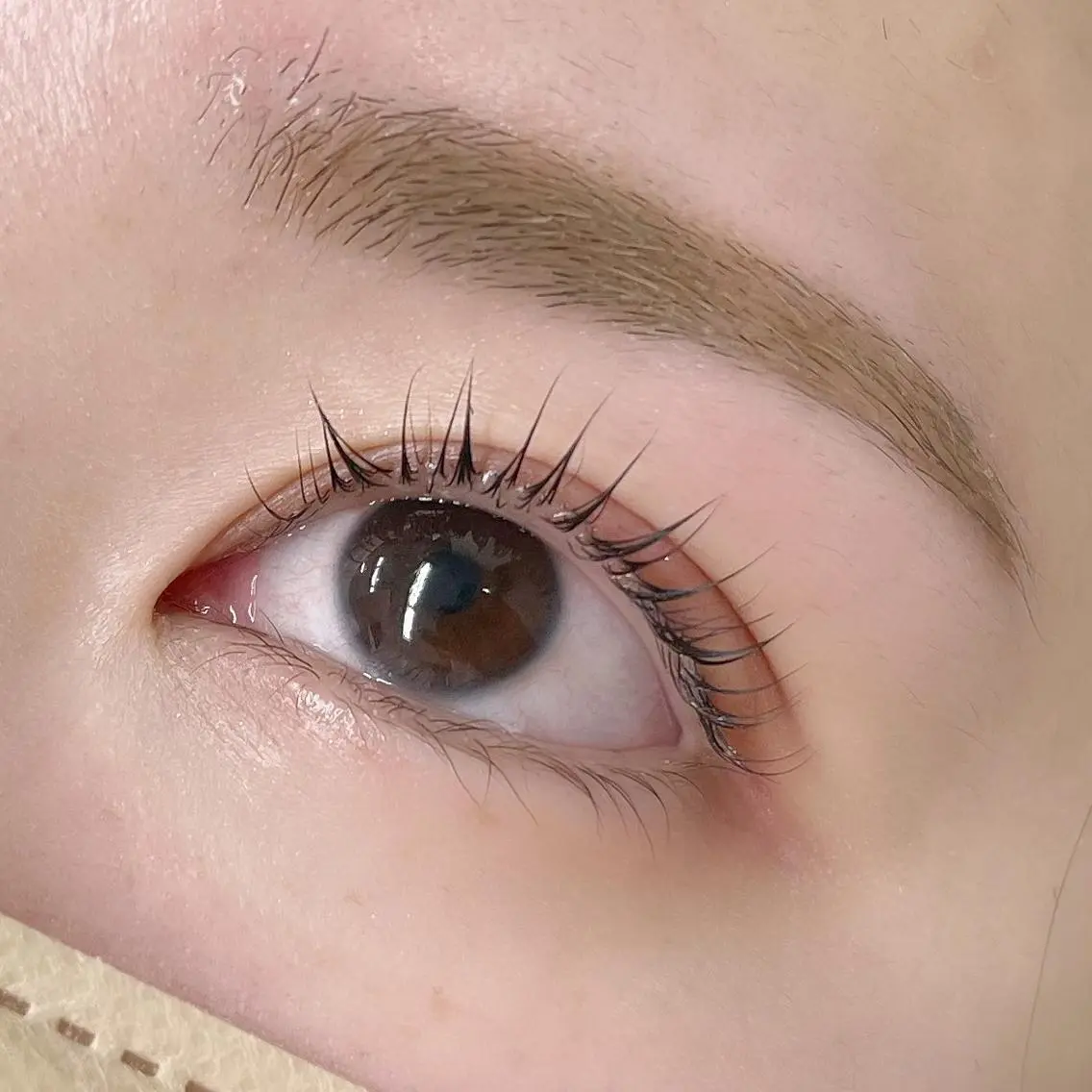 【セット🉐】パリジェンヌラッシュリフト上×アイブロウWAX脱毛の写真