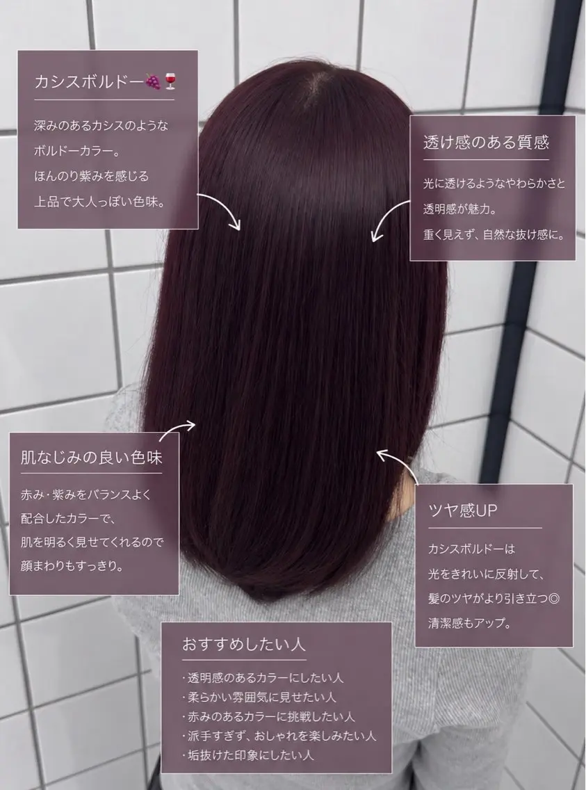 ミディアム カラー ブリーチ ボルドーカラー カシス 透明感カラー ブリーチなしカラー ヘアカラー メンズパーマ/ ハイトーン/宗形建哉のヘアスタイル