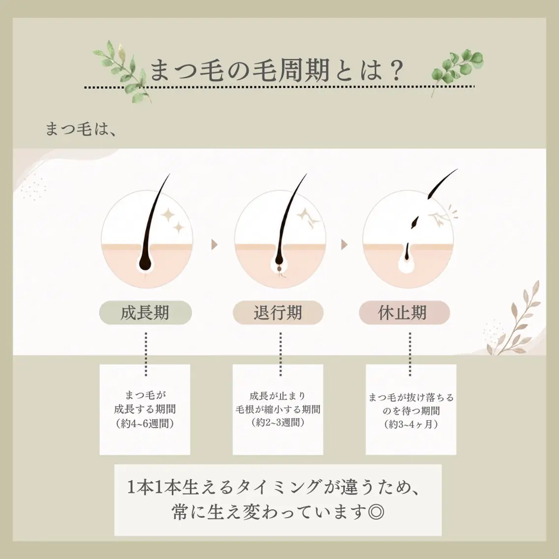 マツエク・マツパ Sui eye  lashのマツエク・マツパデザイン