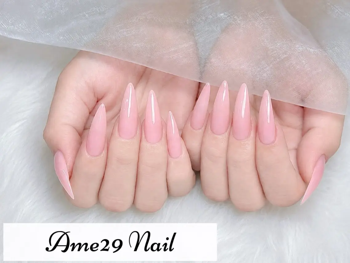 ネイル アートネイル グラデーション マグネットネイル スカルプネイル AME29 Nail ネイルサロンのネイルデザイン
