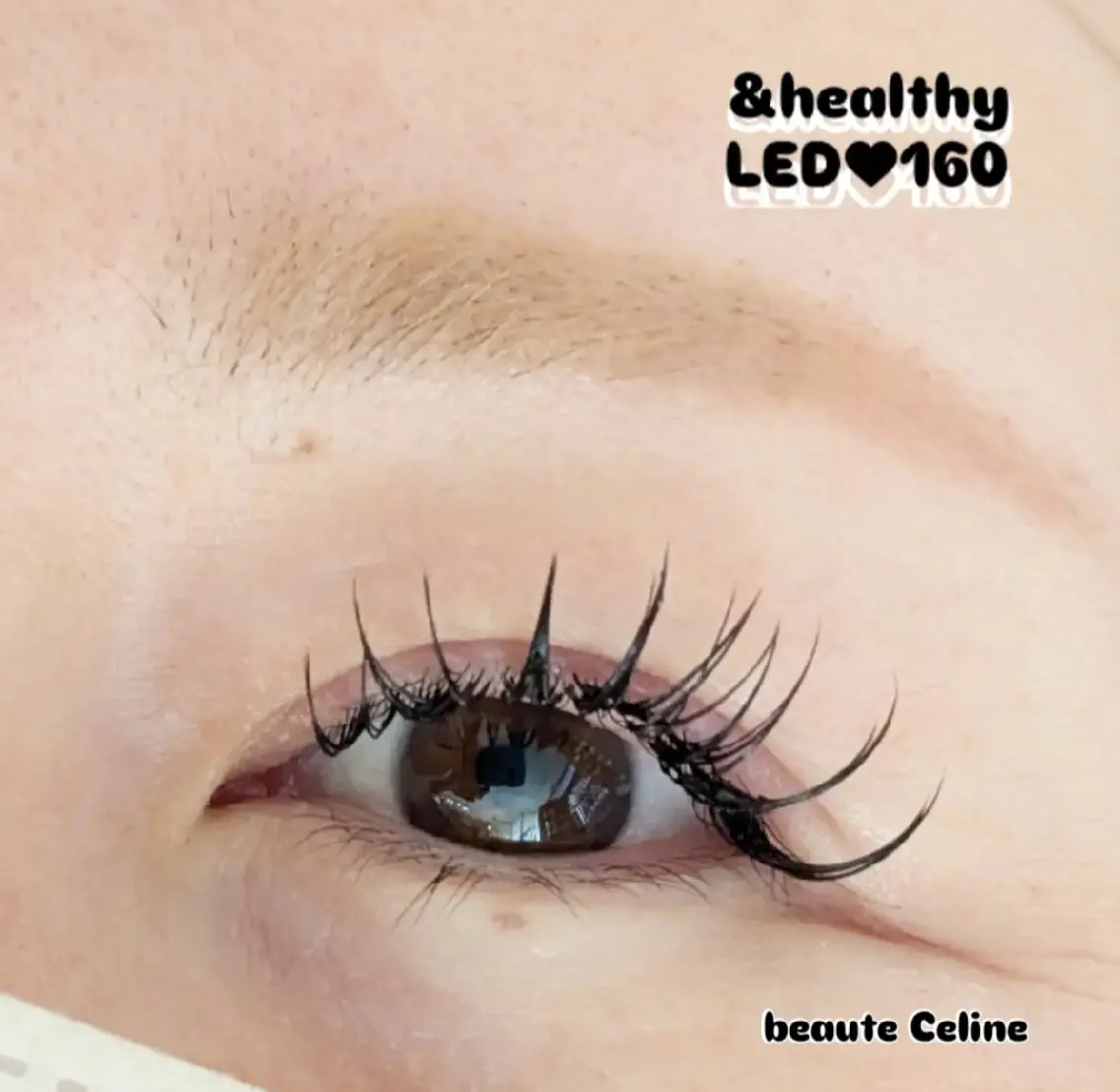 マツエク・マツパ マツエク LED✨beaute Celine🌛🌹のマツエク・マツパデザイン