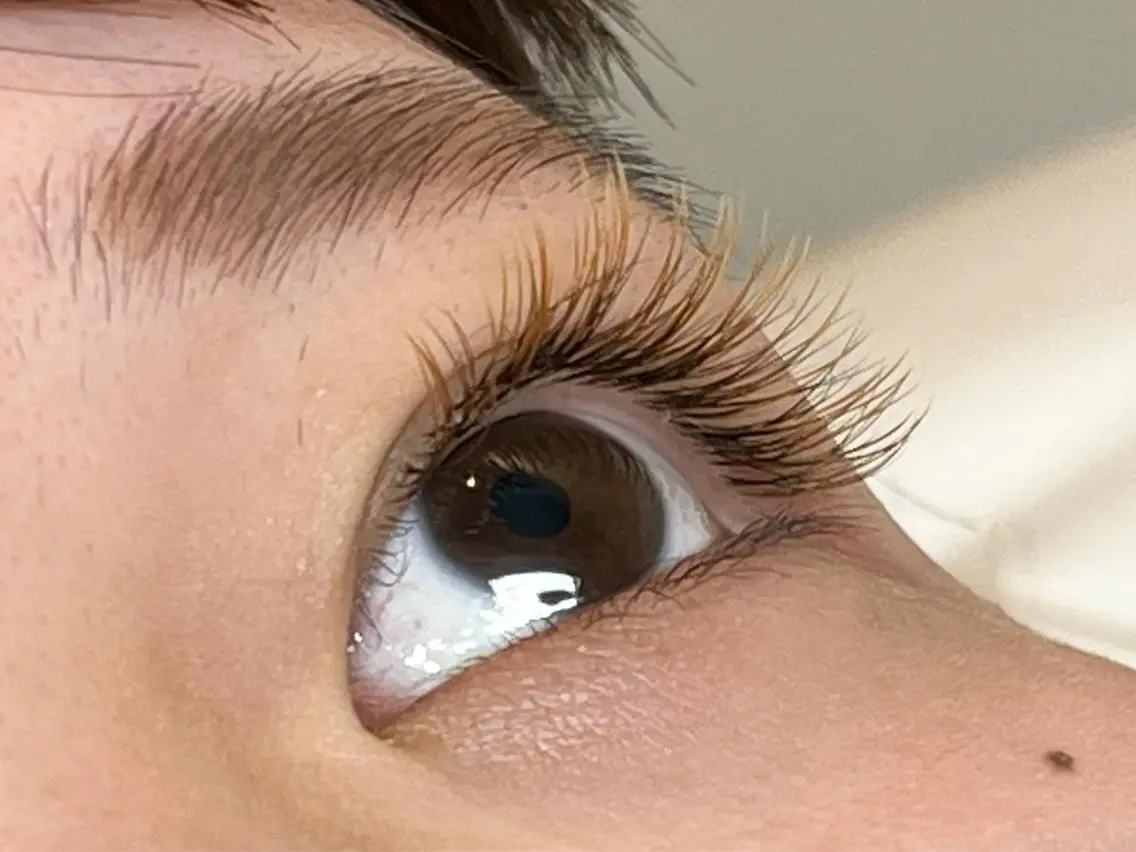 ブラウンフラットラッシュ120本の写真