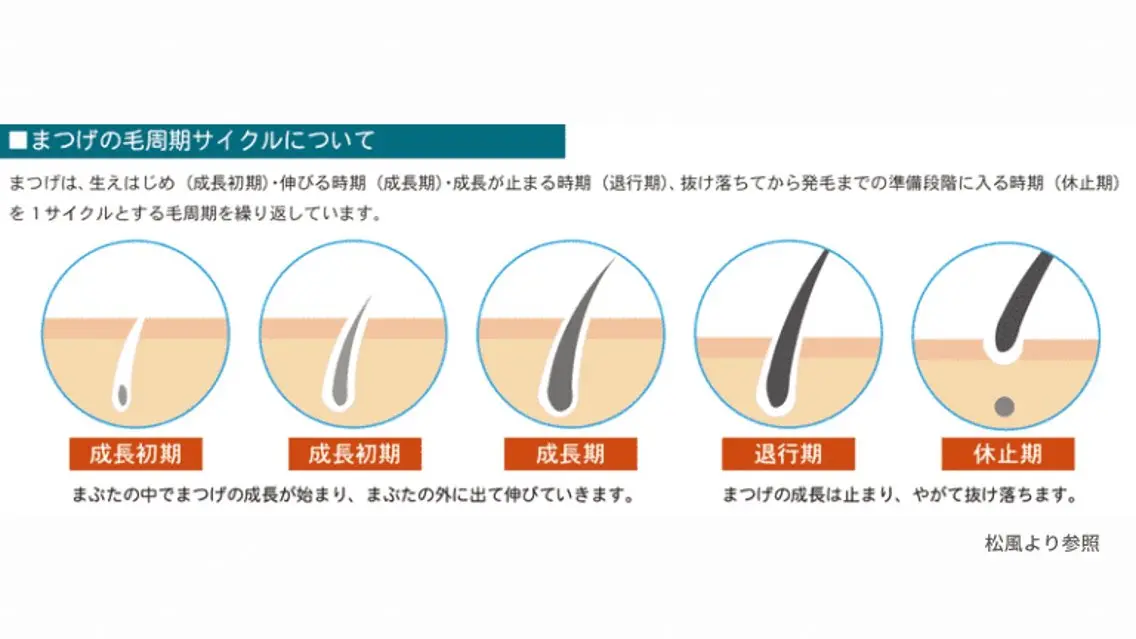 マツエク・マツパ KoBa リンのマツエク・マツパデザイン