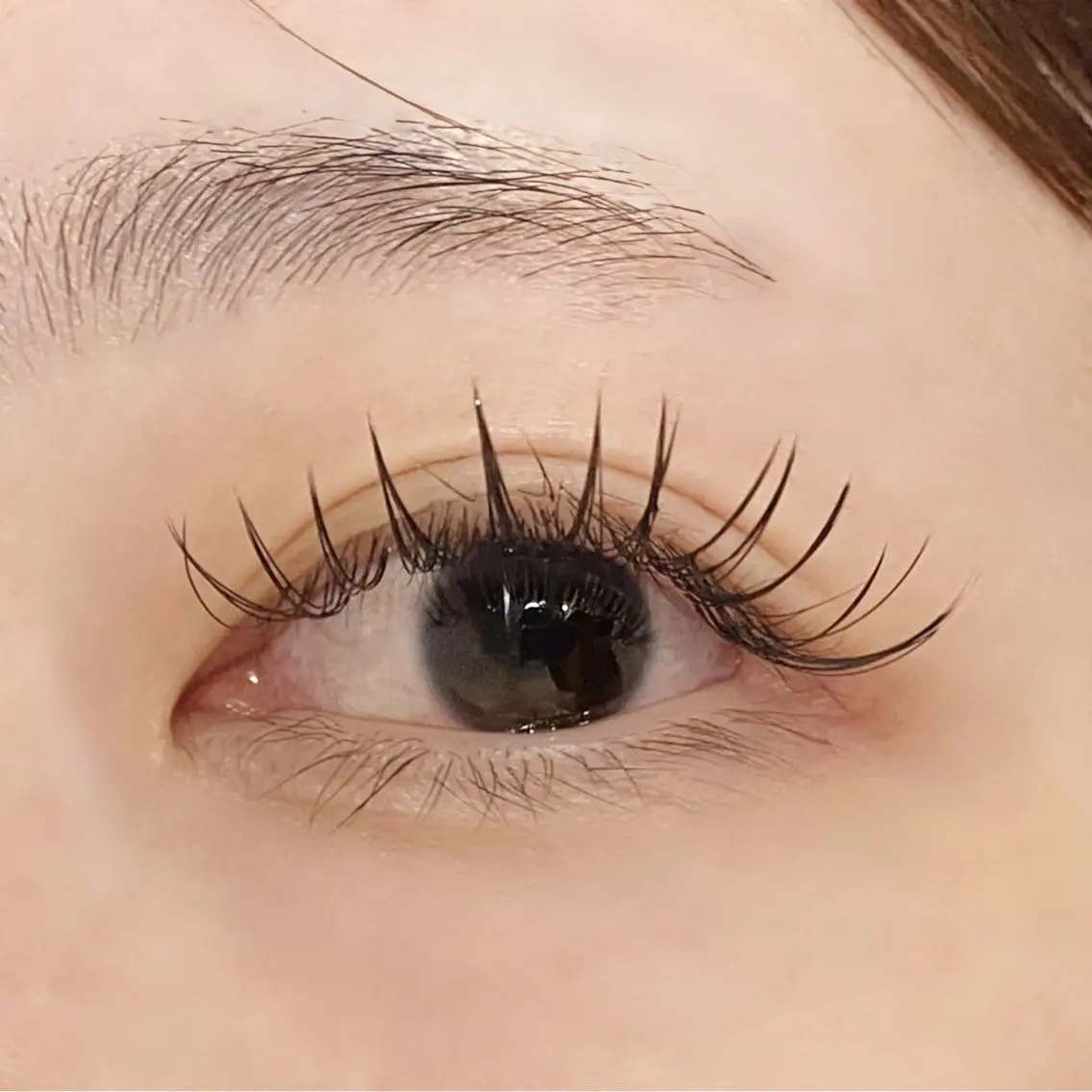 マツエク・マツパ Dカール マツエク 🍒LOARK🍒 eyelashオオノのマツエク・マツパデザイン