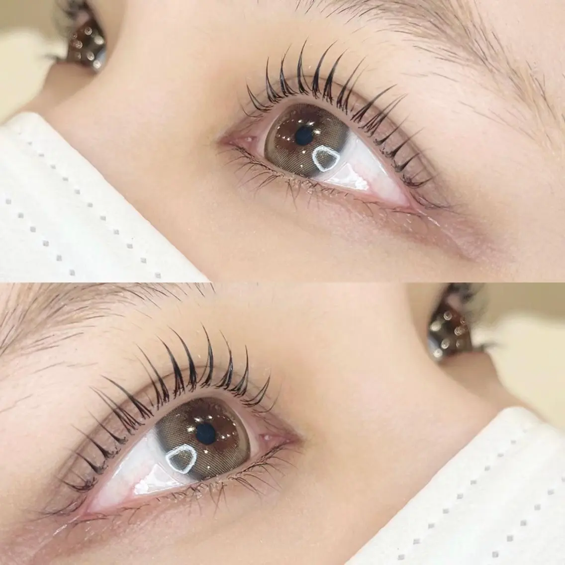 マツエク・マツパ アイブロウ LELEGANCE eyelashのマツエク・マツパデザイン