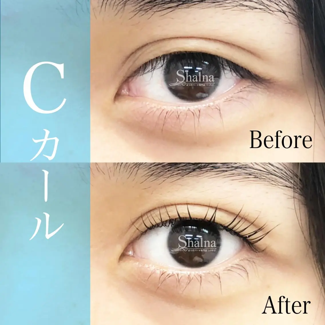 マツエク・マツパ Cカール ナチュラル まつげパーマ まつげパーマ専門店 シャルナ　新宿店のマツエク・マツパデザイン