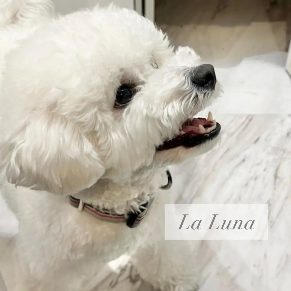 ＬａＬｕｎａ🌙 Natsukiのネイルデザイン