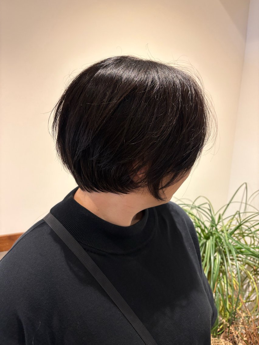ショート カット 中西 美聖のヘアスタイル