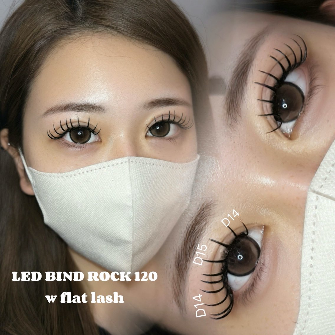 LED ダブルフラット120束の写真